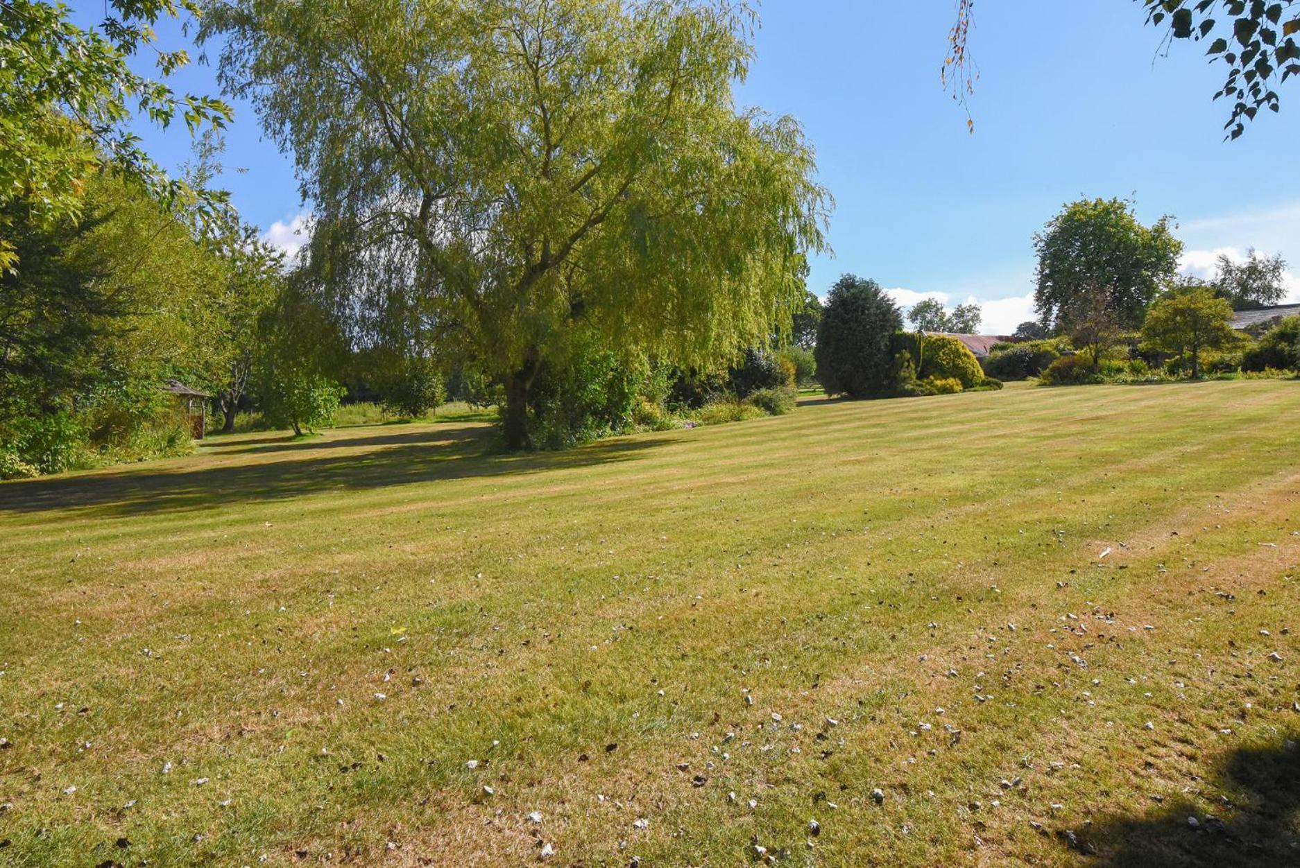 Vine Cottage Musbury エクステリア 写真